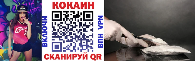 Кокаин Fish Scale  Купить закладки  Бердск 