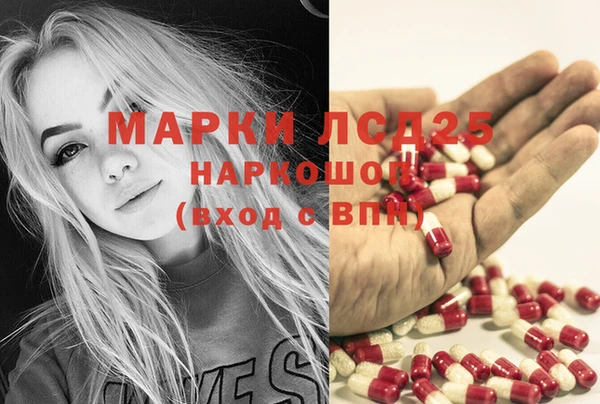 стафф Баксан
